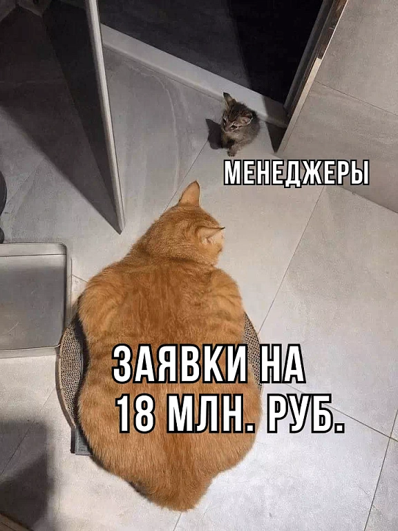 Менеджеры пропустили на Avito 400 заявок на сумму 18 млн руб. Их нашел и обработал нейросотрудник