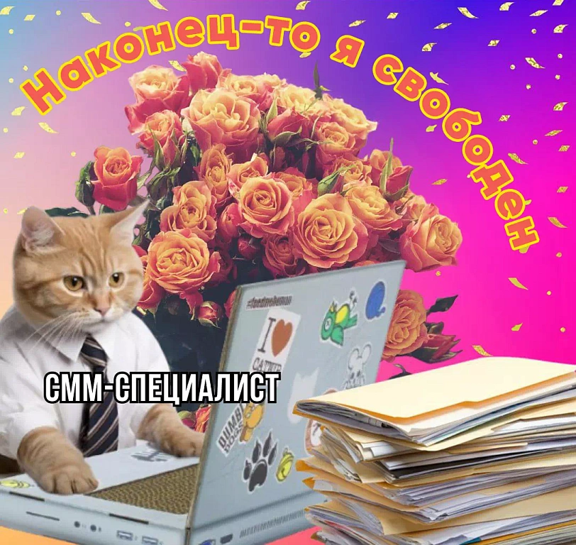 Сеть женских фитнес-студий